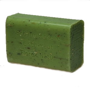 Eisenkraut