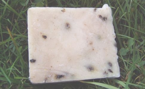 Schafmilch-3er-Pack<br>statt 19,50 nur 9,90